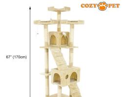 Large Multi-Level Cat Tree
